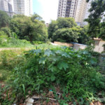 Terreno à venda com 1 quarto em Água Fria, São Paulo, SP