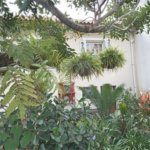 Terreno à venda com 4 quartos em Santana, São Paulo, SP
