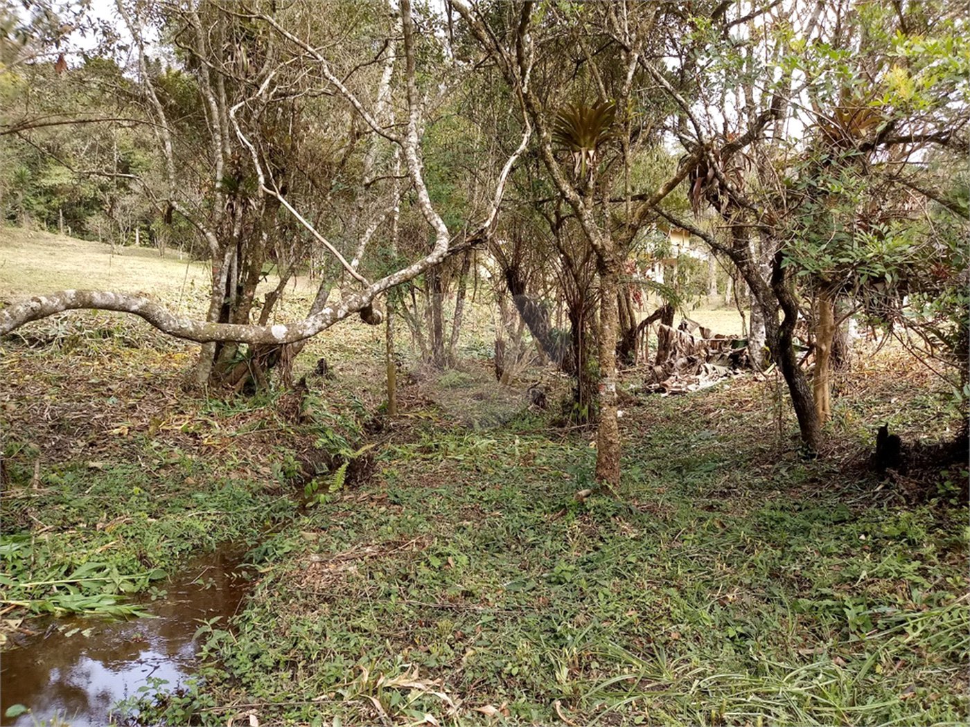 Sítio à venda com 6 quartos no Centro, Mogi das Cruzes, SP