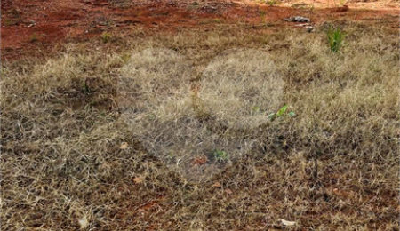 Terreno à venda em Jardim Jurema, Valinhos, SP