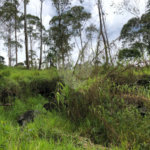 Terreno à venda no condomínio Gleba E1 E2, Mairiporã - SP