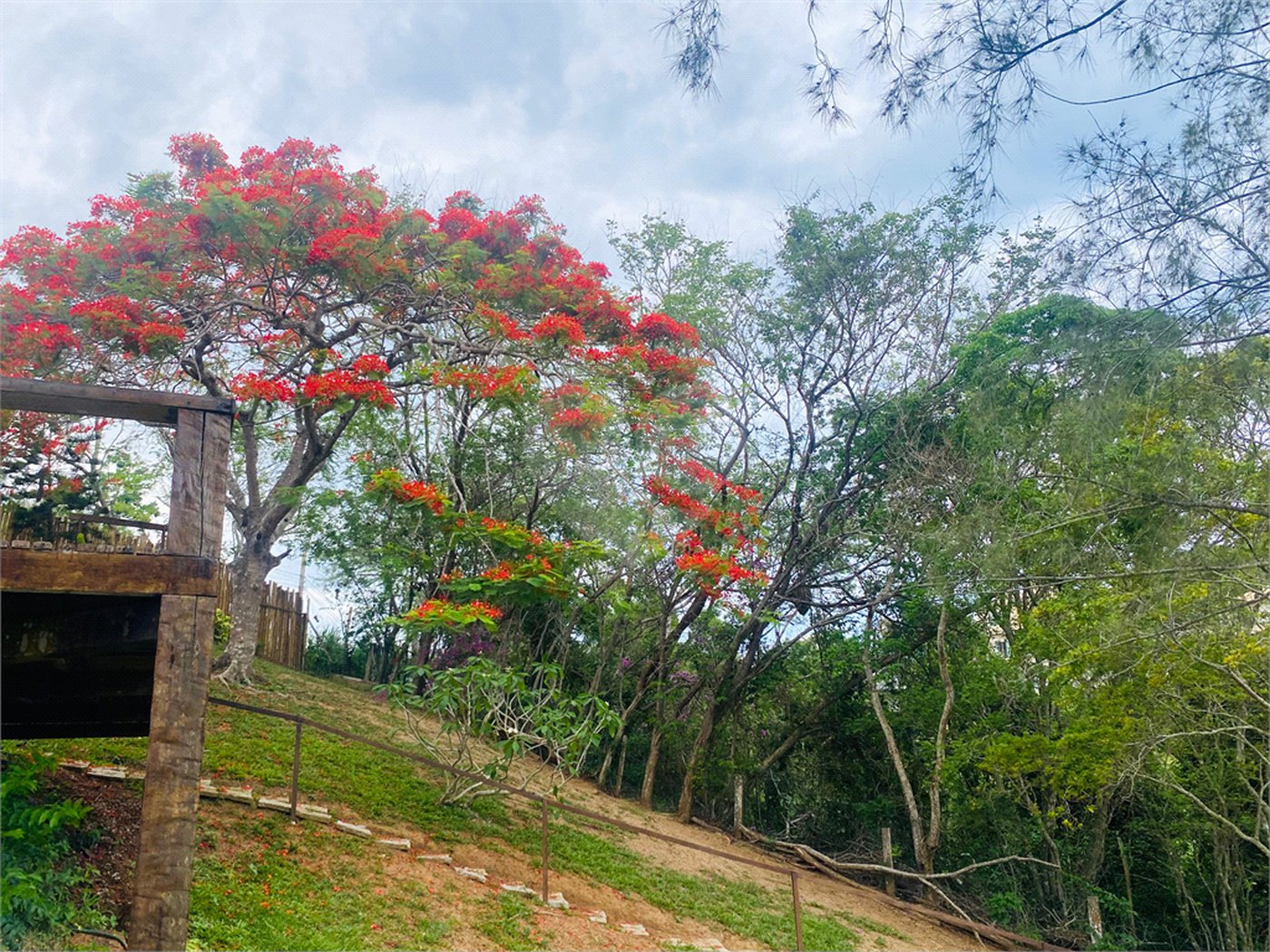 Casa à venda com 7 suítes em Albatroz, Armação dos Búzios, RJ