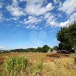 Área de Terra à venda em Nova Trieste, Jarinu, SP