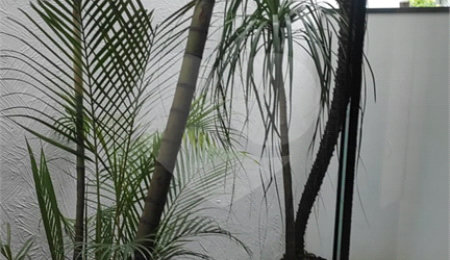 Apartamento para alugar com 1 quarto em Tucuruvi, São Paulo, SP
