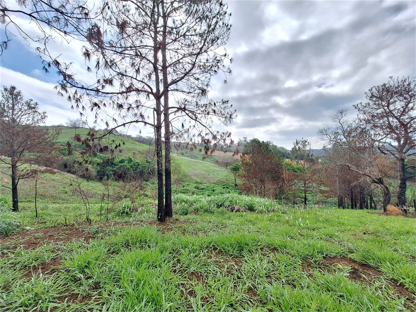 Área de Terra à venda com 1 suíte em Cocais, Itatiba, SP