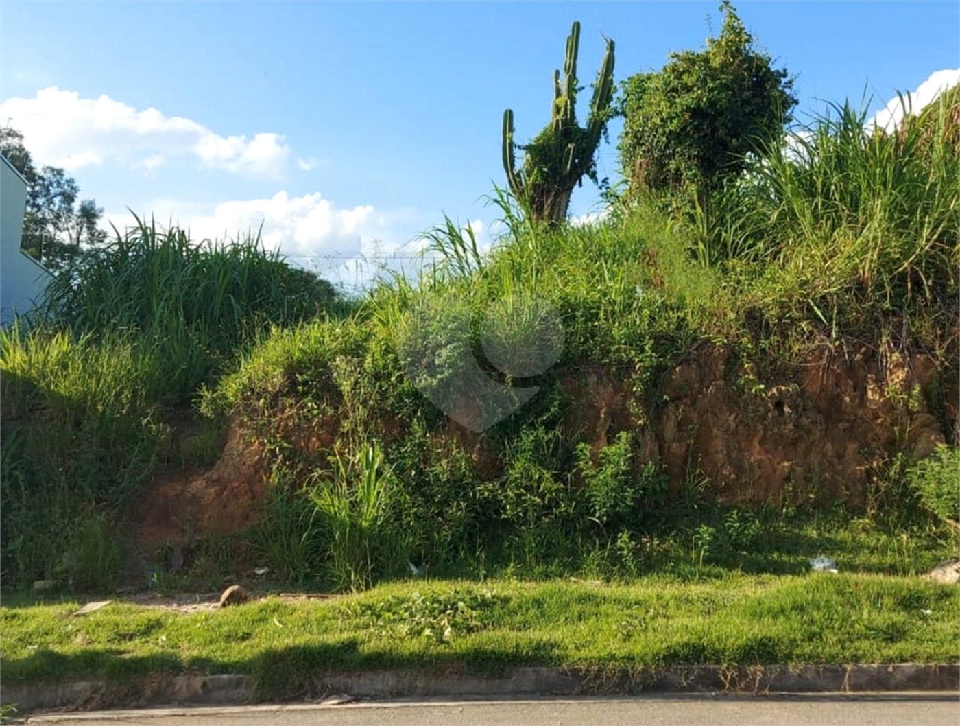 Terreno à venda em Bosque, Vinhedo, SP
