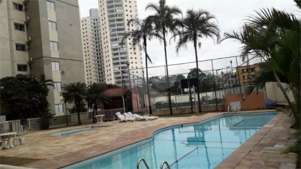 Apartamento à venda com 3 quartos, sendo 1 suíte, em Cambuci, São Paulo, SP