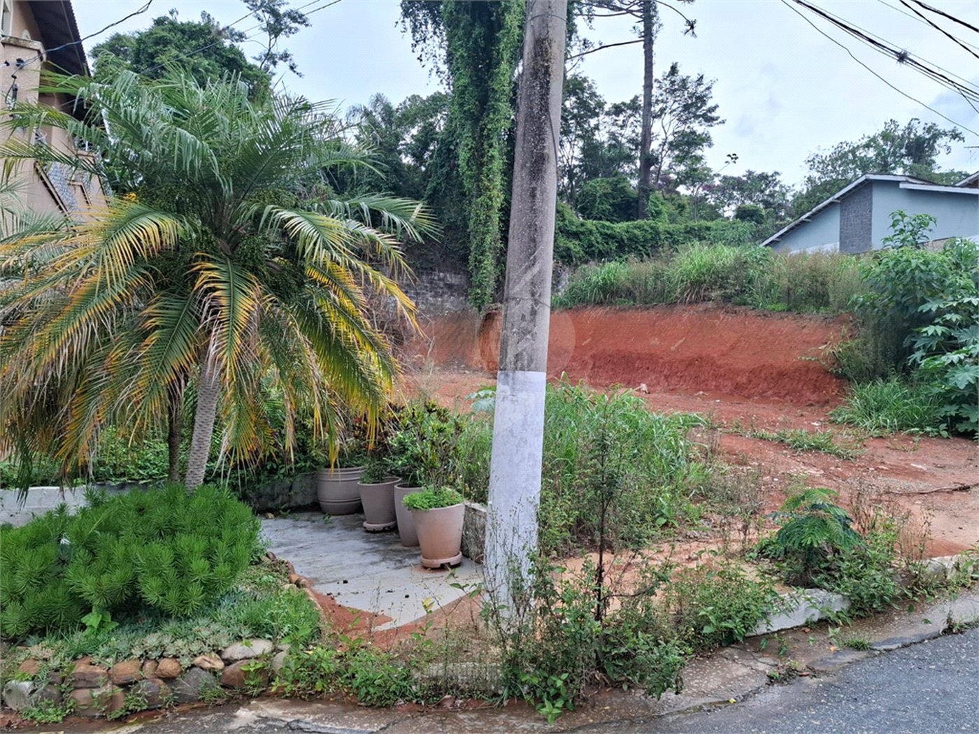 Terreno à venda em Vila Albertina, São Paulo, SP