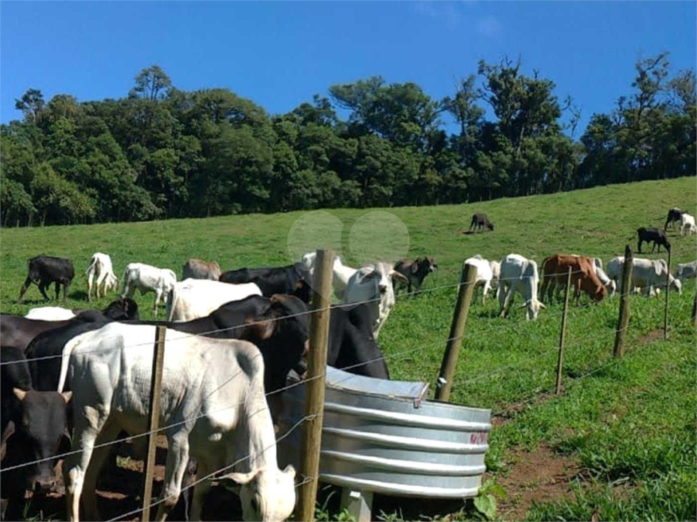 Sítio à venda com 5 quartos, sendo 1 suíte,  em Área Rural de Tapiraí, Tapiraí, SP