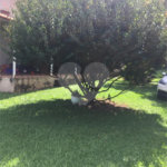 Chácara à venda com 4 quartos, sendo 1 suíte, em Jundiaquara, Araçoiaba da Serra, SP