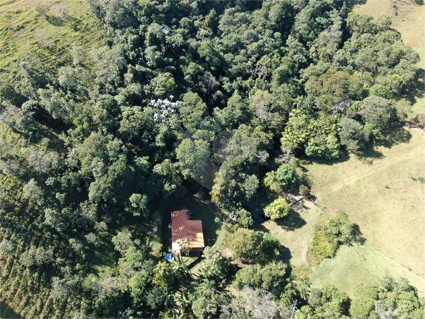 Fazenda à venda com 3 quartos em Cachoeirinha, Bom Jesus dos Perdões, SP