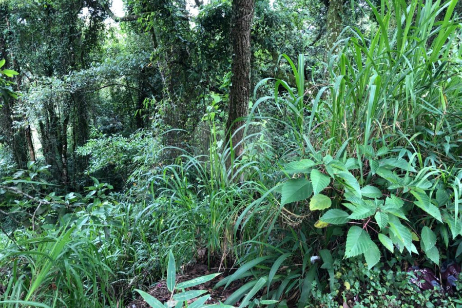 Terreno à venda no condomínio Gleba E1 E2, Mairiporã - SP