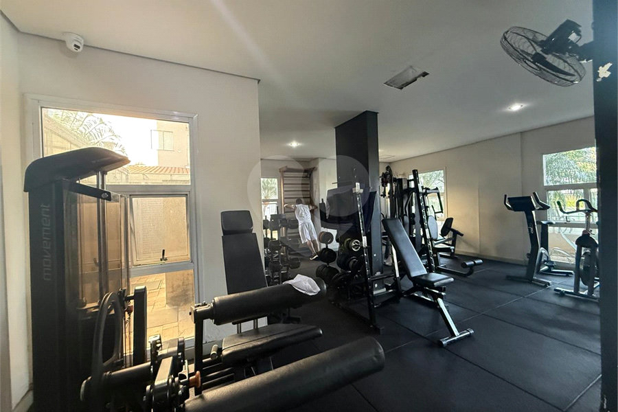 Apartamento para alugar com 3 quartos, sendo 1 suíte, em Vila Guilherme, São Paulo, SP