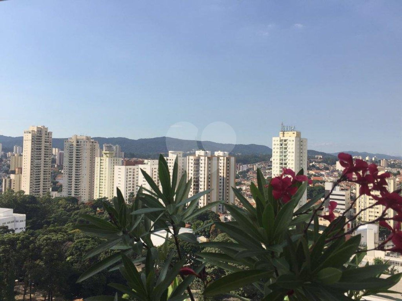 Apartamento à venda com 3 suítes em Santana, São Paulo, SP