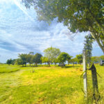 Sítio à venda com 3 quartos em Campo de Boituva, Boituva, SP