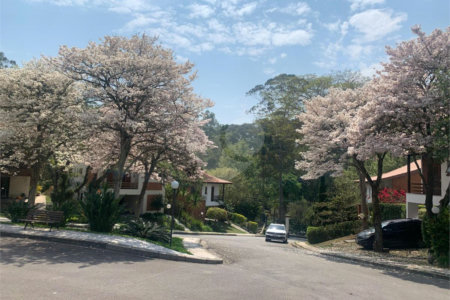 Casa à venda com 4 quartos, sendo 2 suítes, no condomínio Residencial Ypê Branco II, São Paulo - SP