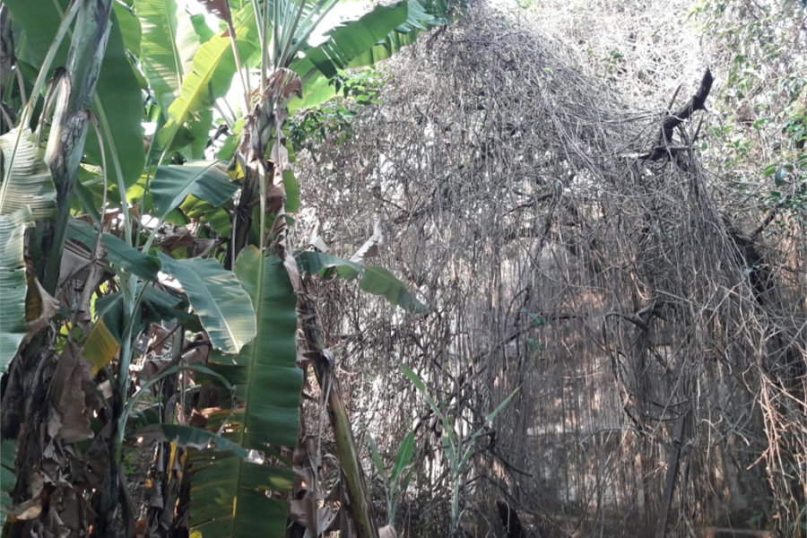 Sobrado à venda com 2 quartos em Jaçanã, São Paulo, SP