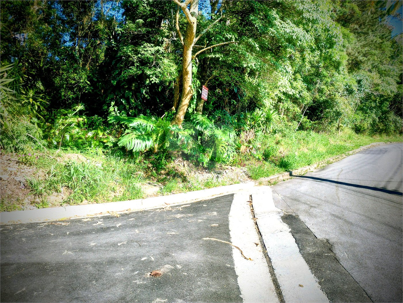 Terreno à venda em Serra da Cantareira, Mairiporã, SP