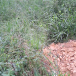 Terreno à venda em Serra da Cantareira, Mairiporã, SP