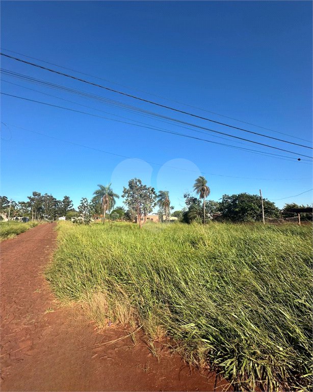 Terreno à venda em Pedro Juan Caballero, Amambay