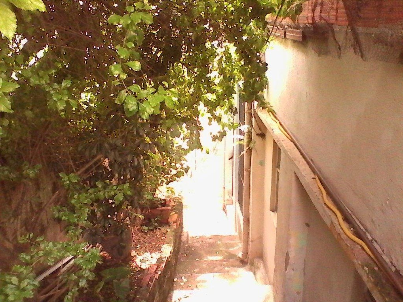 Terreno à venda em Vila Gustavo, São Paulo, SP