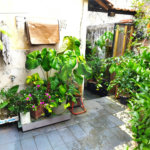 Casa á venda - Jabaquara