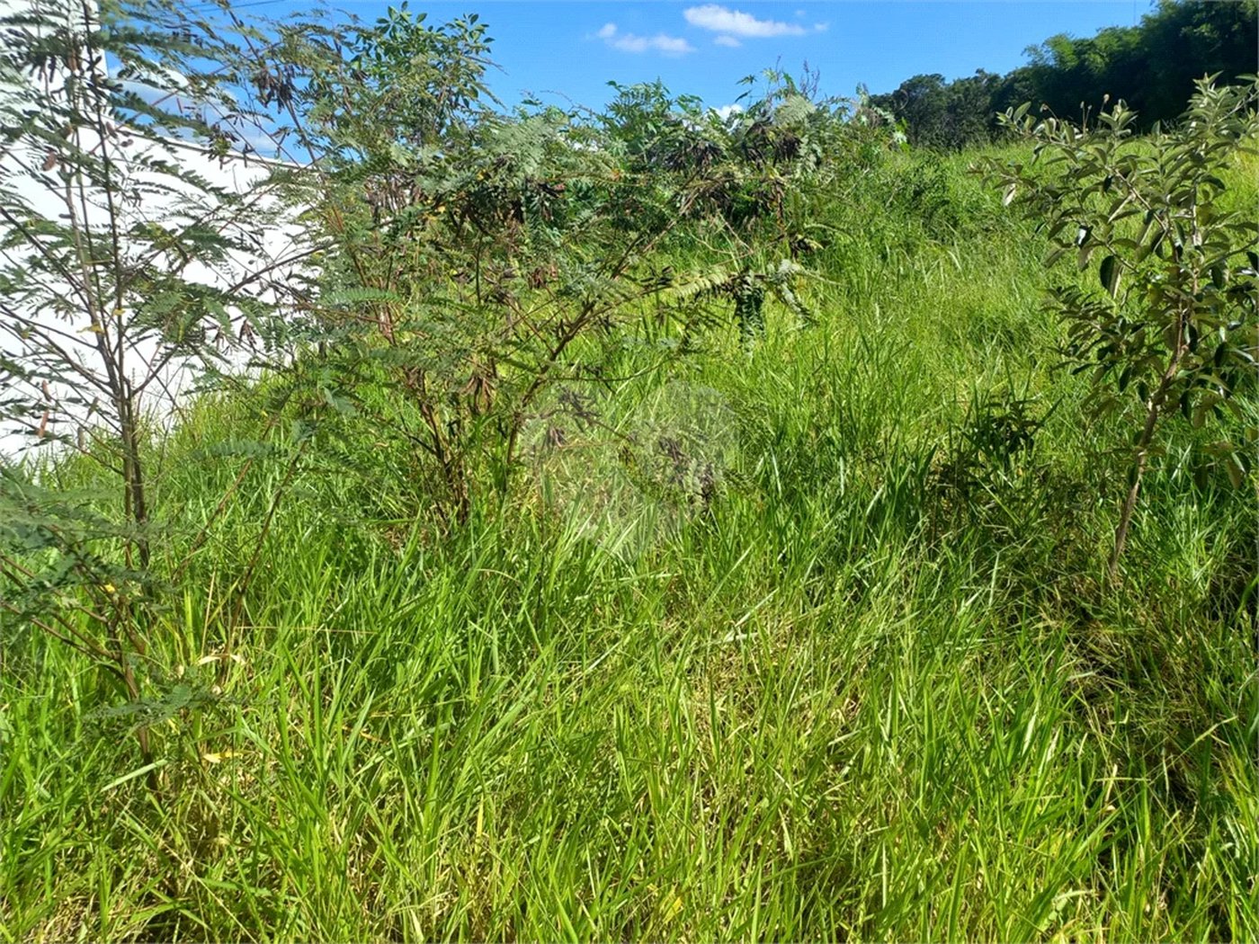 Terreno à venda em Jardim Primavera, Itupeva, SP
