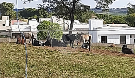 Área de Terra à venda em Chácaras Residenciais Santa Maria, Votorantim, SP