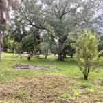 Terreno à venda em Loteamento Terras de São Pedro e São Paulo, Salto, SP