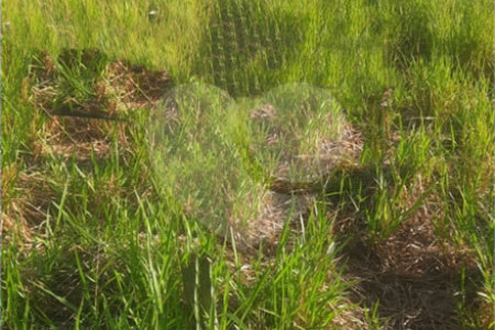 Terreno à venda em João XXIII, Vinhedo, SP