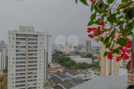 Apartamento à venda com 3 quartos, sendo 1 suíte, em Vila Mascote, São Paulo, SP