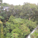 Casa à venda com 3 suítes no condomínio Jardim Flora, São Paulo - SP