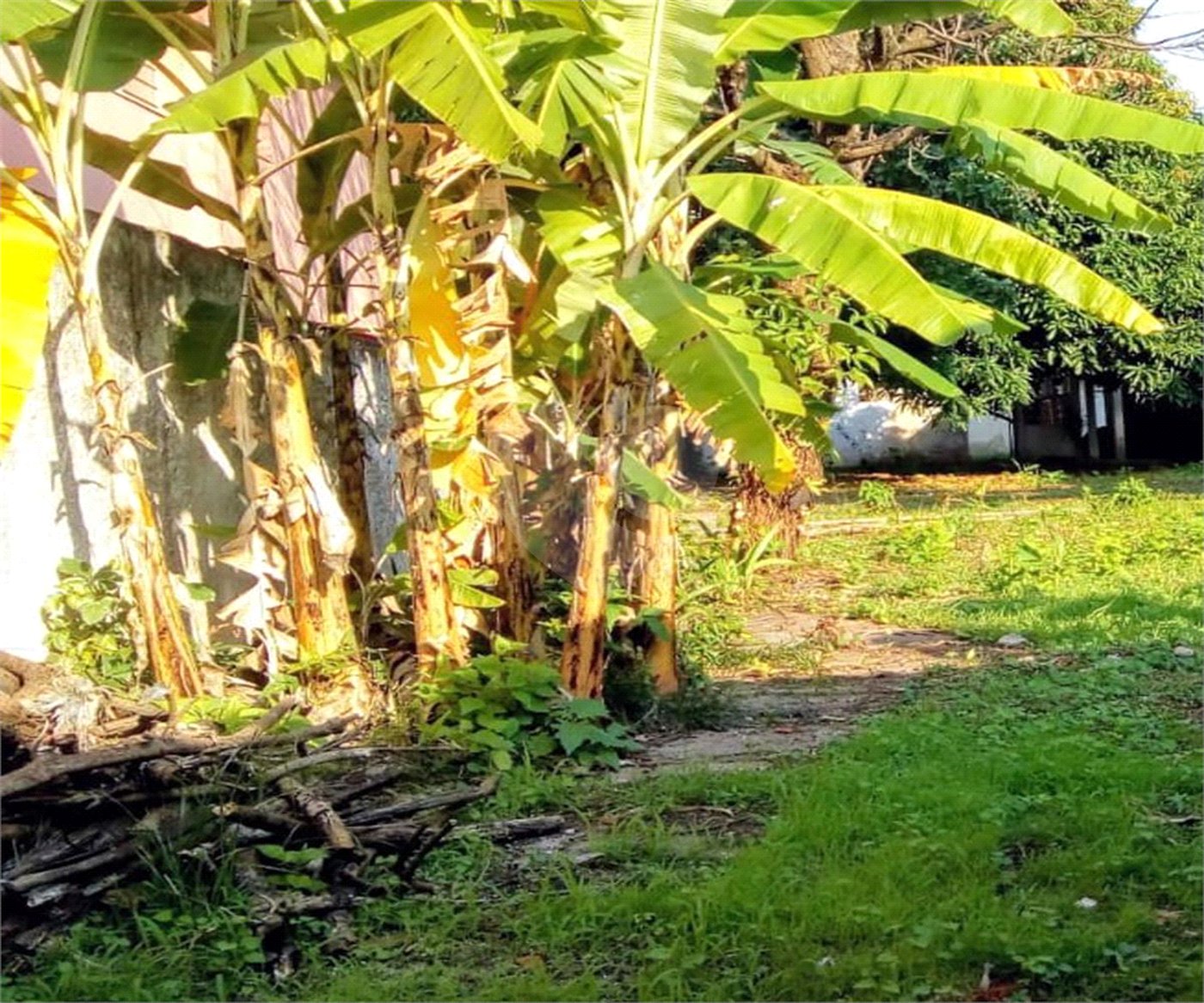 Terreno à venda em Campo Belo, São Paulo, SP
