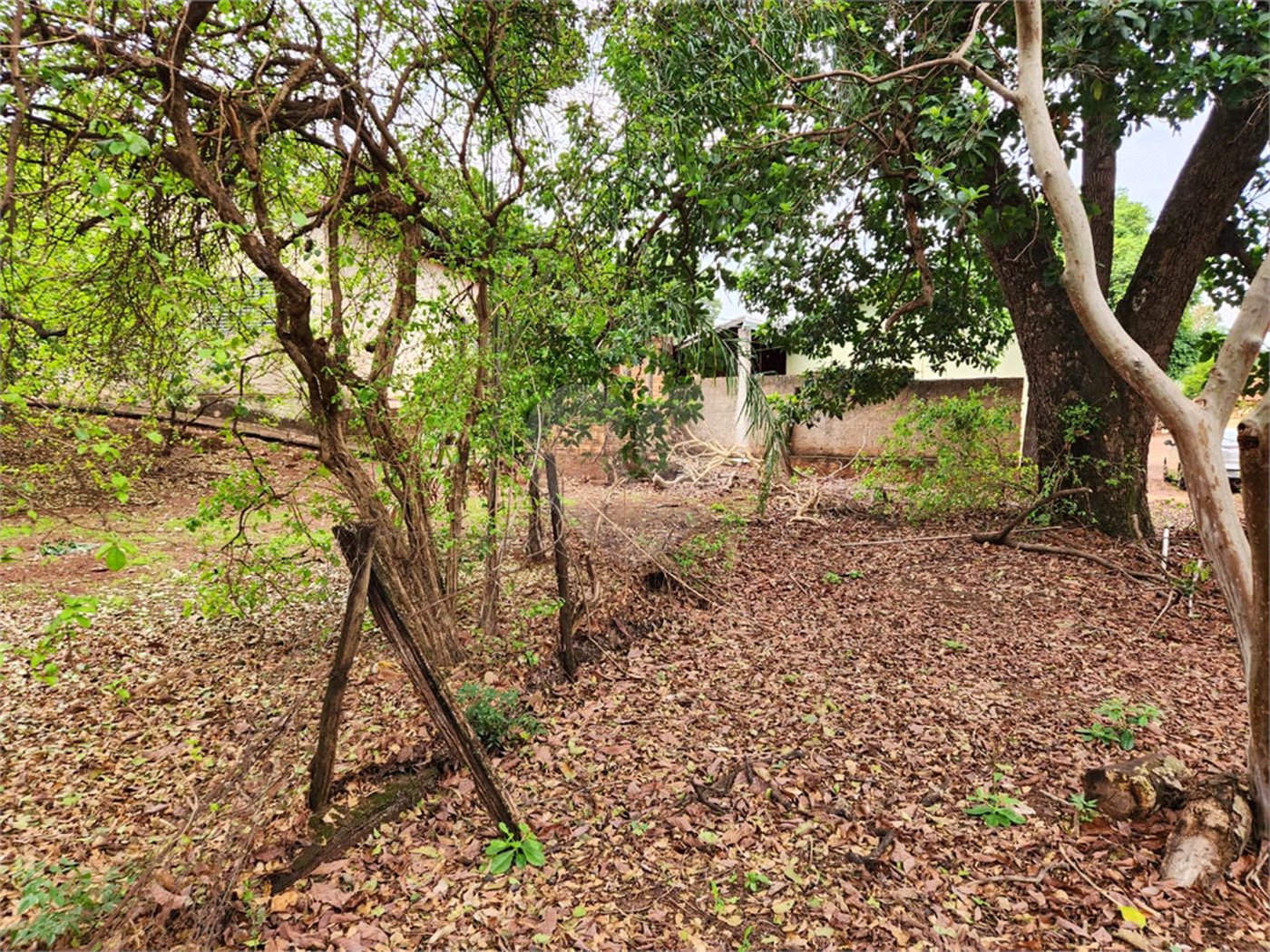 Chácara à venda com 2 quartos em Jardim Califórnia, Araraquara, SP