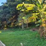Terreno à venda em Geribá, Armação dos Búzios, RJ