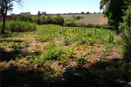 Área de Terra à venda em Cristóvão, Araçoiaba da Serra, SP