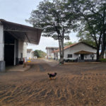 Galpão à venda em 1° Distrito Industrial (albert Geoges Karam), Araraquara, SP