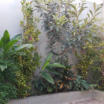 Sobrado à venda com 3 quartos, sendo 1 suíte, em Chácara Santo Antônio, São Paulo, SP