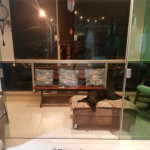 Sobrado à venda com 3 suítes em Pirituba, São Paulo, SP