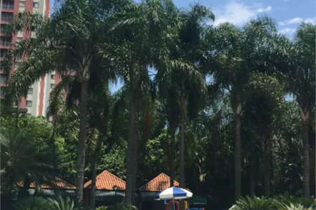 Apartamento à venda com 3 quartos, sendo 1 suíte,  em Jardim Caboré, São Paulo, SP