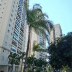 Apartamento à venda com 3 quartos, sendo 1 suíte,  em Mandaqui, São Paulo, SP