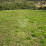 Área de Terra à venda em Porteira Preta, Mogi das Cruzes, SP