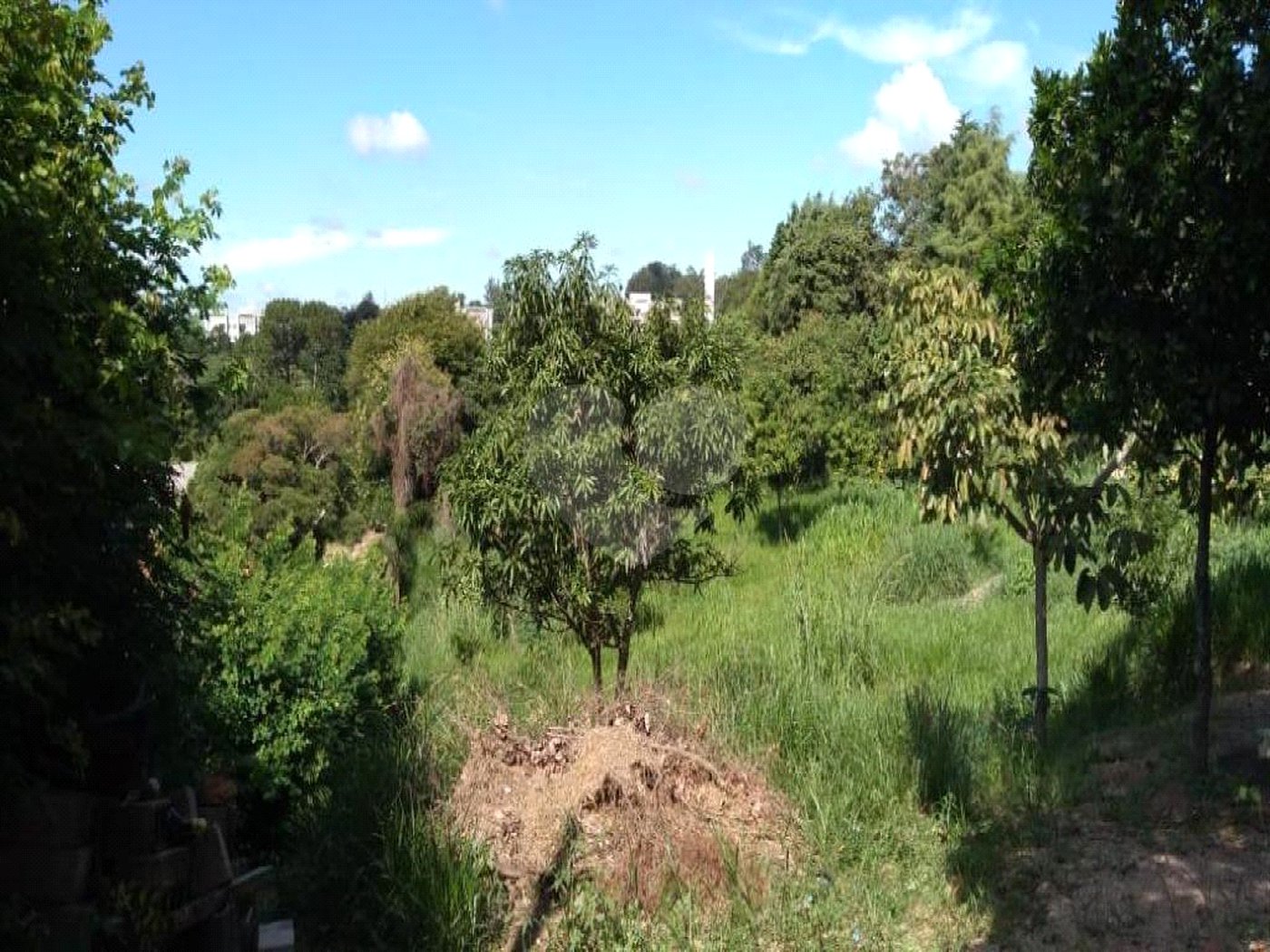 Chácara à venda com 1 quarto no Centro, Vinhedo, SP