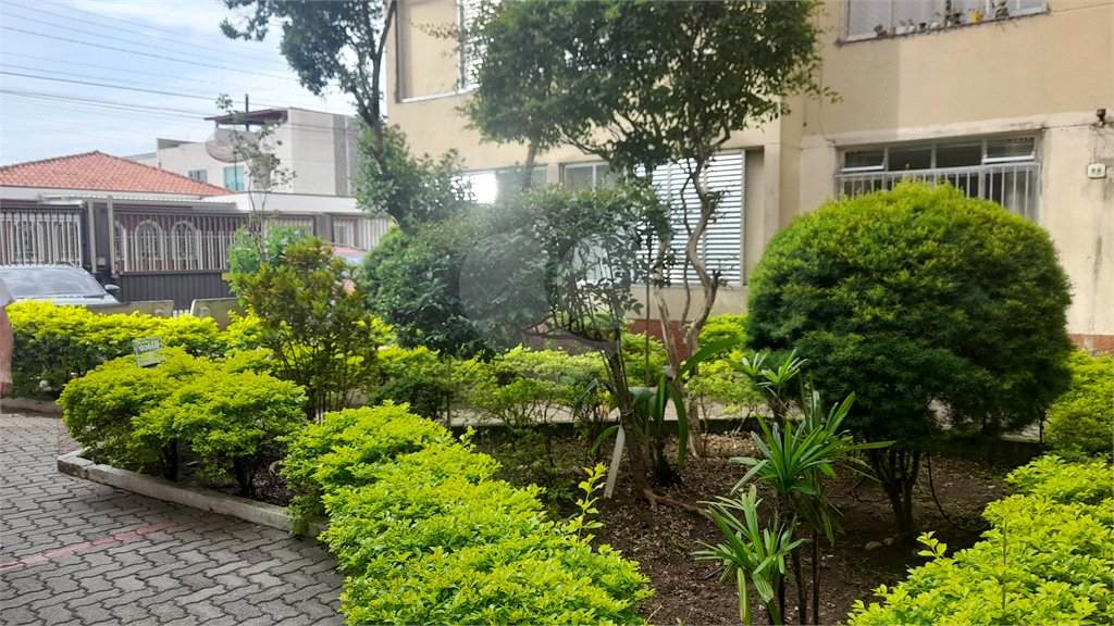 Apartamento à venda com 3 quartos em Jaçanã, São Paulo, SP