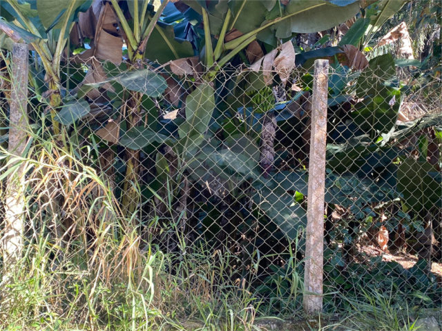 Terreno à venda em Luiz Fagundes, Mairiporã, SP