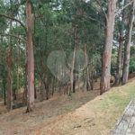Terreno à venda no condomínio Terras de Santa Teresa, Itupeva - SP