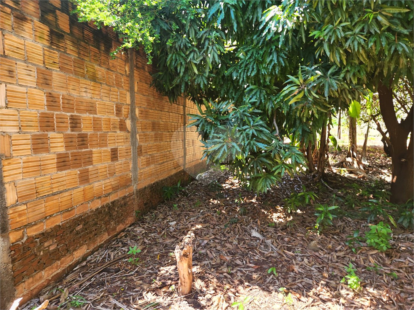 Terreno à venda em Vila Harmonia, Araraquara, SP
