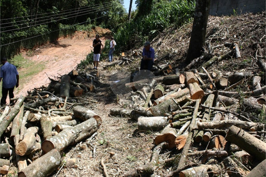 Terreno à venda em Serra da Cantareira, Mairiporã, SP
