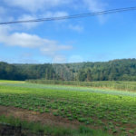 Terreno à venda com 5 quartos, sendo 4 suítes, em Vila Aparecida, Suzano, SP
