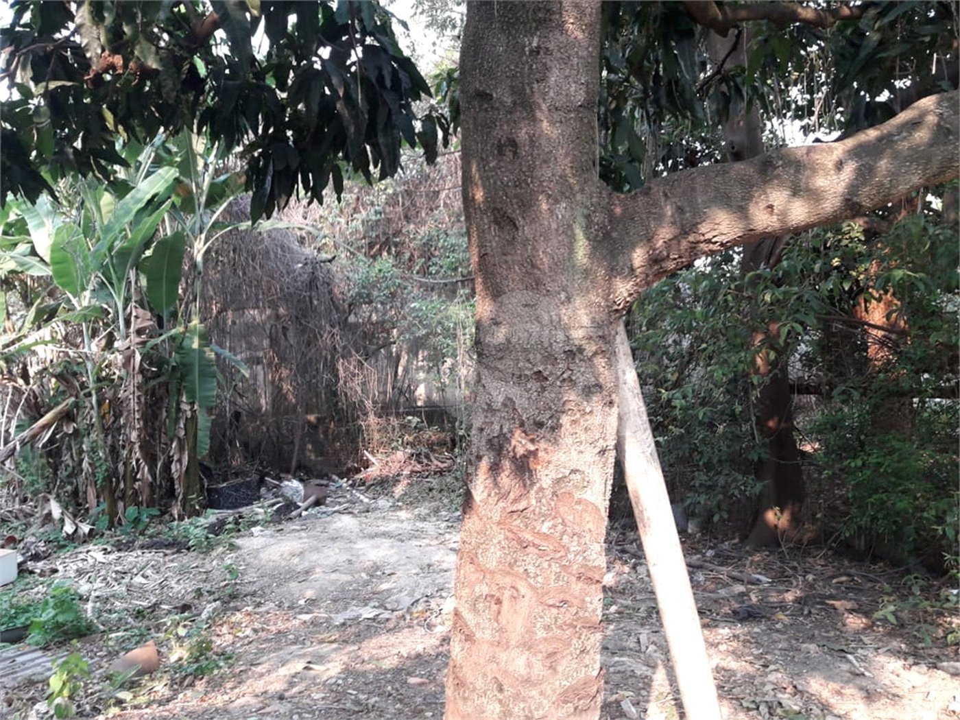 Sobrado à venda com 2 quartos em Jaçanã, São Paulo, SP